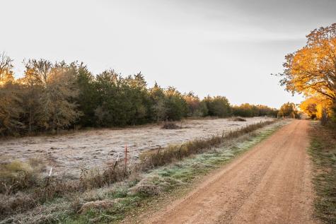 17 Acres - 000 Grassyville Road Paige TX 78659