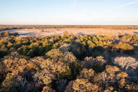 17 Acres - 000 Grassyville Road Paige TX 78659