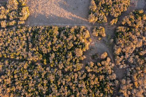 17 Acres - 000 Grassyville Road Paige TX 78659