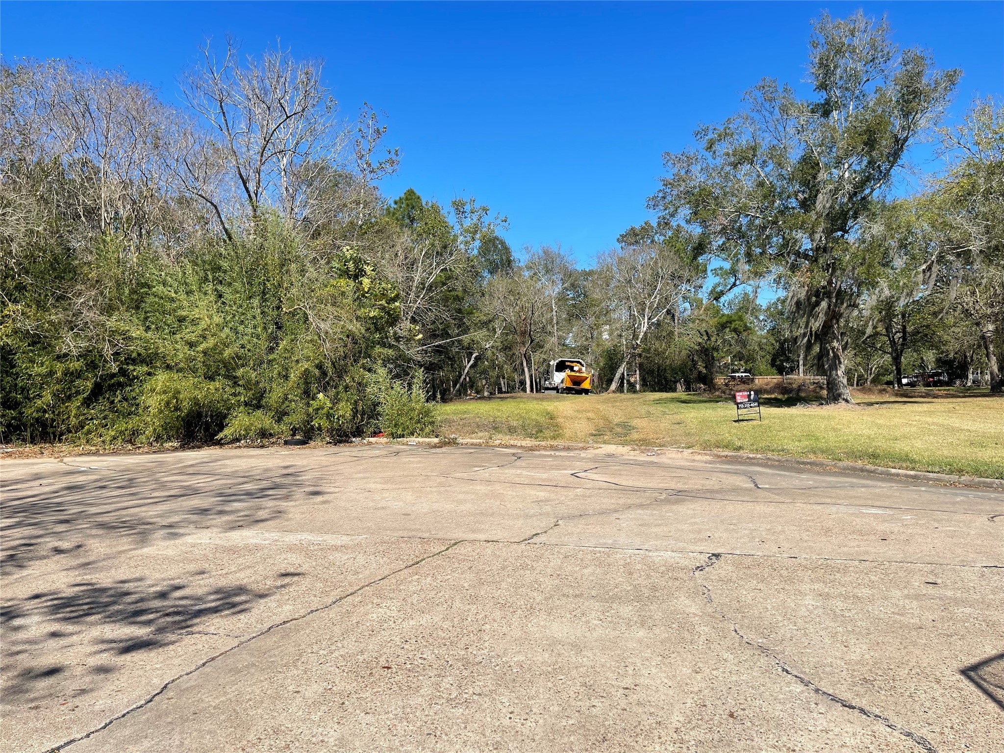 0 Creekview Court Drive Friendswood TX 77546
