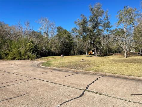 0 Creekview Court Drive Friendswood TX 77546