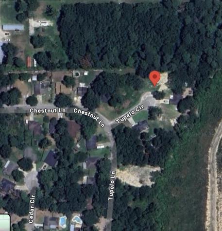 25789 Tupelo Circle Splendora TX 77372