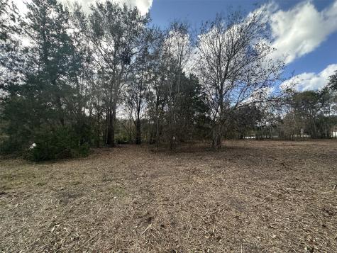 0 County Road 244a Brazoria TX 77422