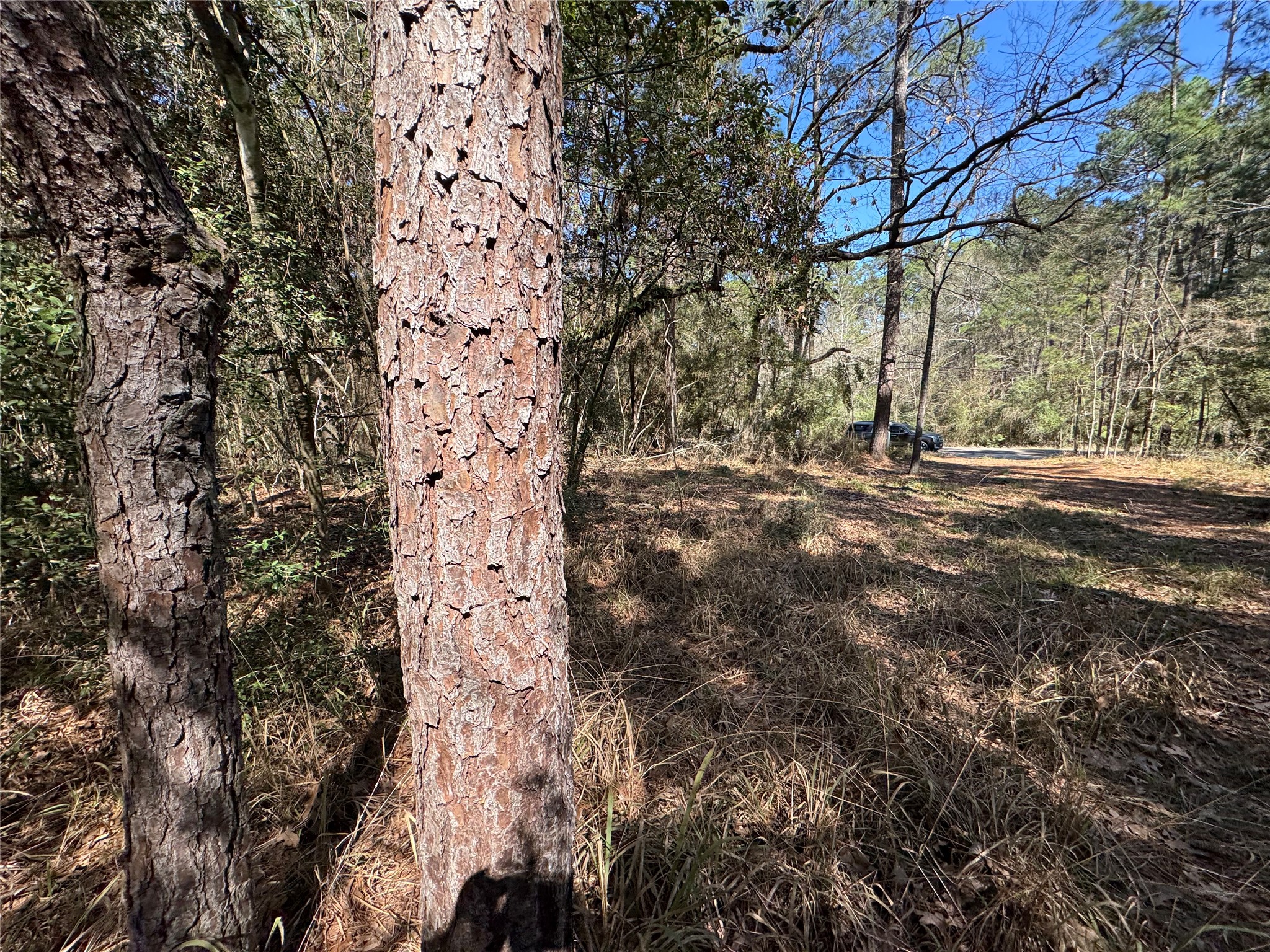 Lot 107 Whisperwood Drive Onalaska TX 77360