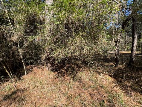 Lot 107 Whisperwood Drive Onalaska TX 77360