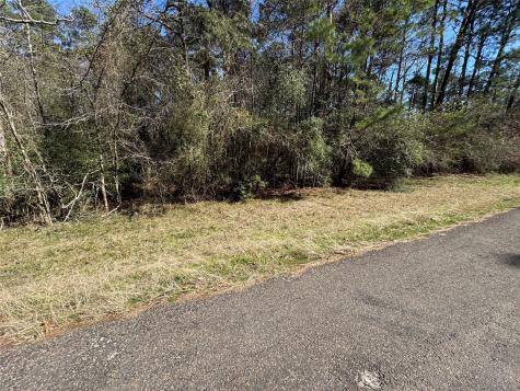 Lot 107 Whisperwood Drive Onalaska TX 77360