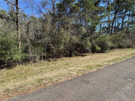 Lot 107 Whisperwood Drive Onalaska TX 77360