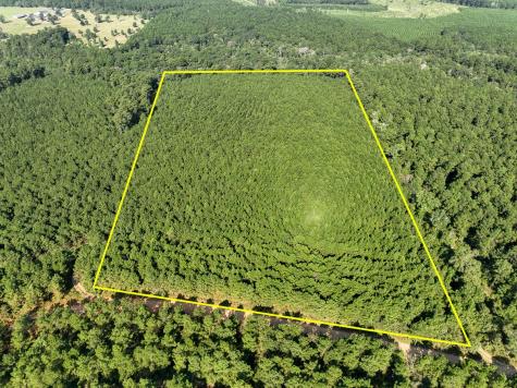 0 Shady Grove Road Woodville TX 75979