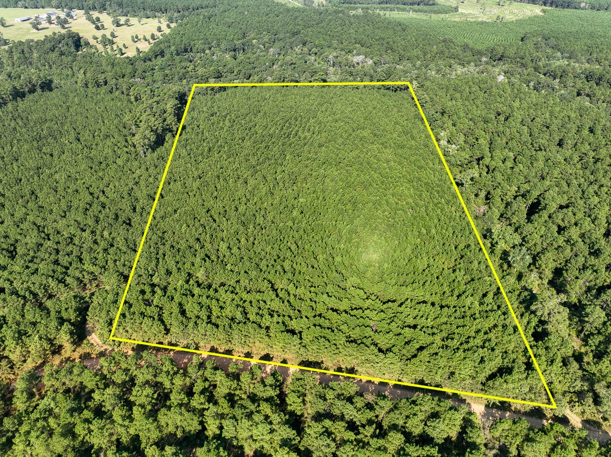 0 Shady Grove Road Woodville TX 75979