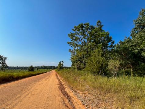 0 Shady Grove Road Woodville TX 75979