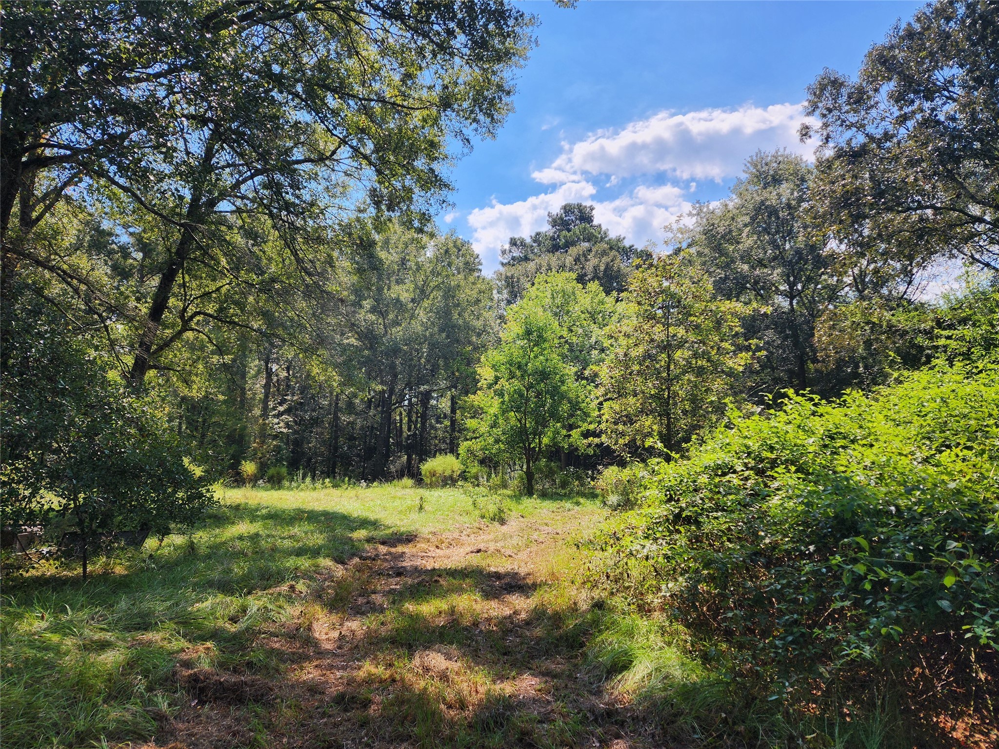 118 Ranch Acres Drive Huntsville TX 77340