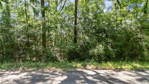 Tbd Woodland Drive Livingston TX 77351