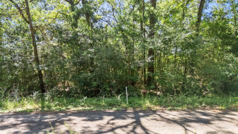Tbd Woodland Drive Livingston TX 77351