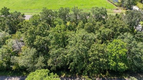 Tbd Woodland Drive Livingston TX 77351