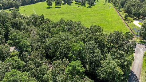 Tbd Woodland Drive Livingston TX 77351