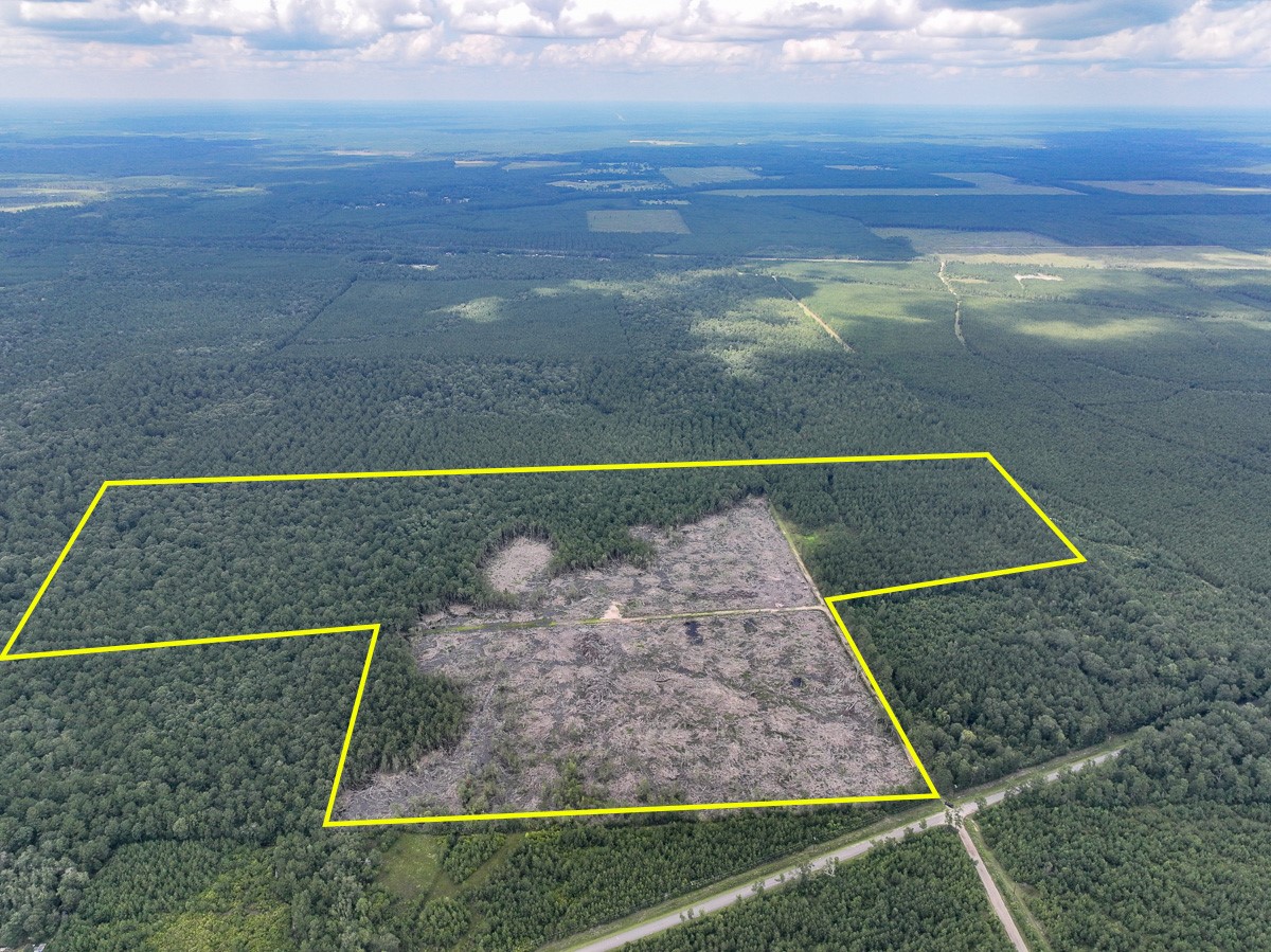 0 Old Honey Island Road Kountze TX 77625