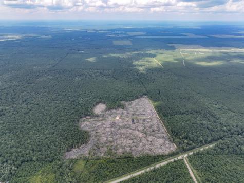 0 Old Honey Island Road Kountze TX 77625