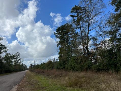 0 Old Honey Island Road Kountze TX 77625