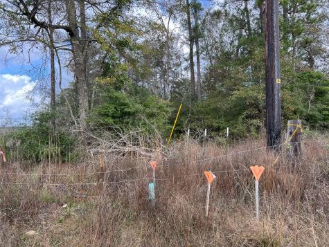 0 Old Honey Island Road Kountze TX 77625