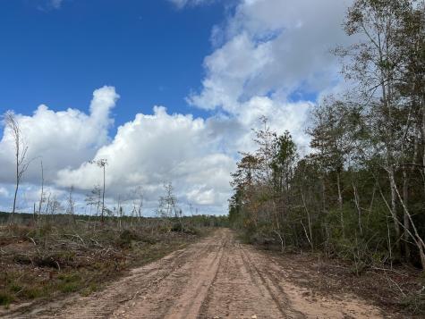 0 Old Honey Island Road Kountze TX 77625