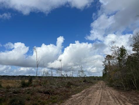 0 Old Honey Island Road Kountze TX 77625