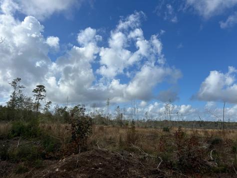 0 Old Honey Island Road Kountze TX 77625