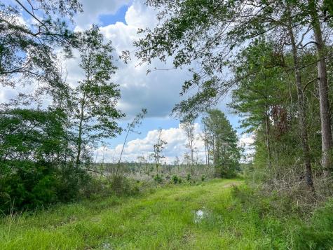 0 Old Honey Island Road Kountze TX 77625