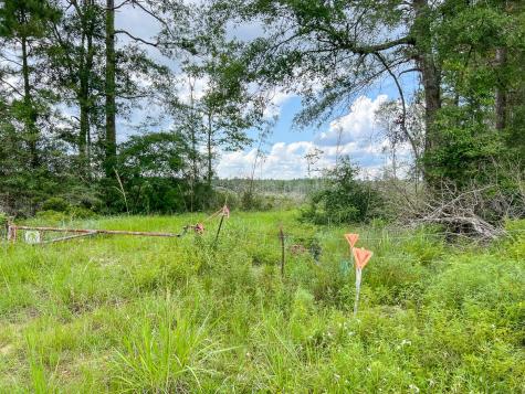 0 Old Honey Island Road Kountze TX 77625