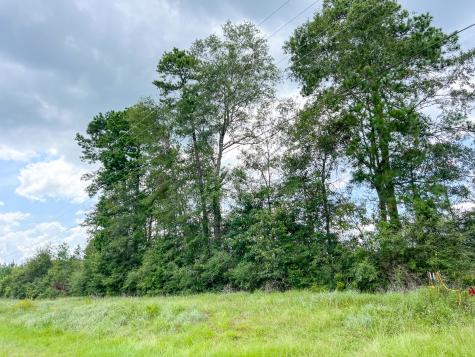 0 Old Honey Island Road Kountze TX 77625