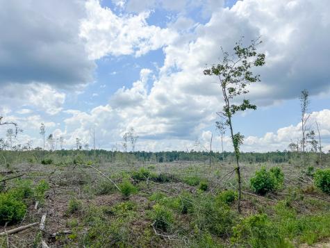 0 Old Honey Island Road Kountze TX 77625