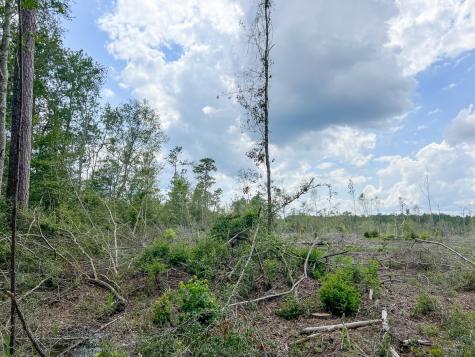 0 Old Honey Island Road Kountze TX 77625