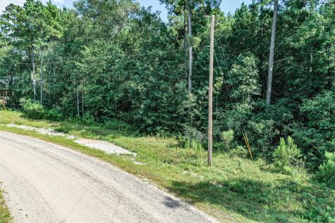 Lot 98 Red Hawk Road Huntsville TX 77340