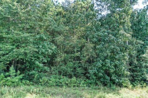 Lot 98 Red Hawk Road Huntsville TX 77340