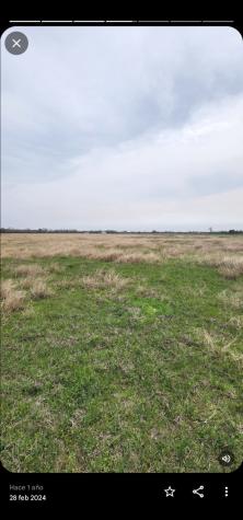Fm 950 Road Track 7 Fm 950 Eagle Lake TX 77434