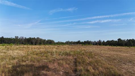 Tbd 3 Young Road Livingston TX 77351