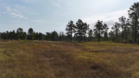 Tbd 3 Young Road Livingston TX 77351