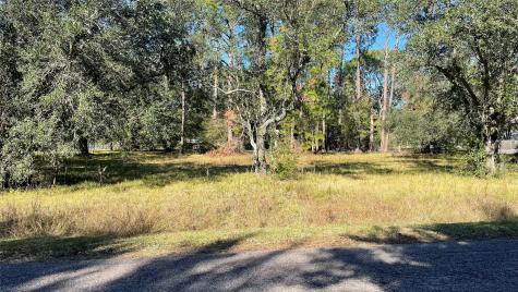 0 NW Boxwood At Britt Corner W Brookside TX 77581