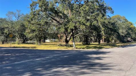 0 NW Boxwood At Britt Corner W Brookside TX 77581