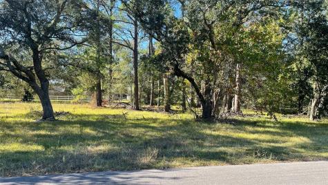 0 NW Boxwood At Britt Corner W Brookside TX 77581