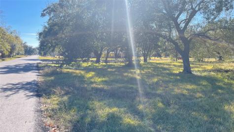 0 NW Boxwood At Britt Corner W Brookside TX 77581