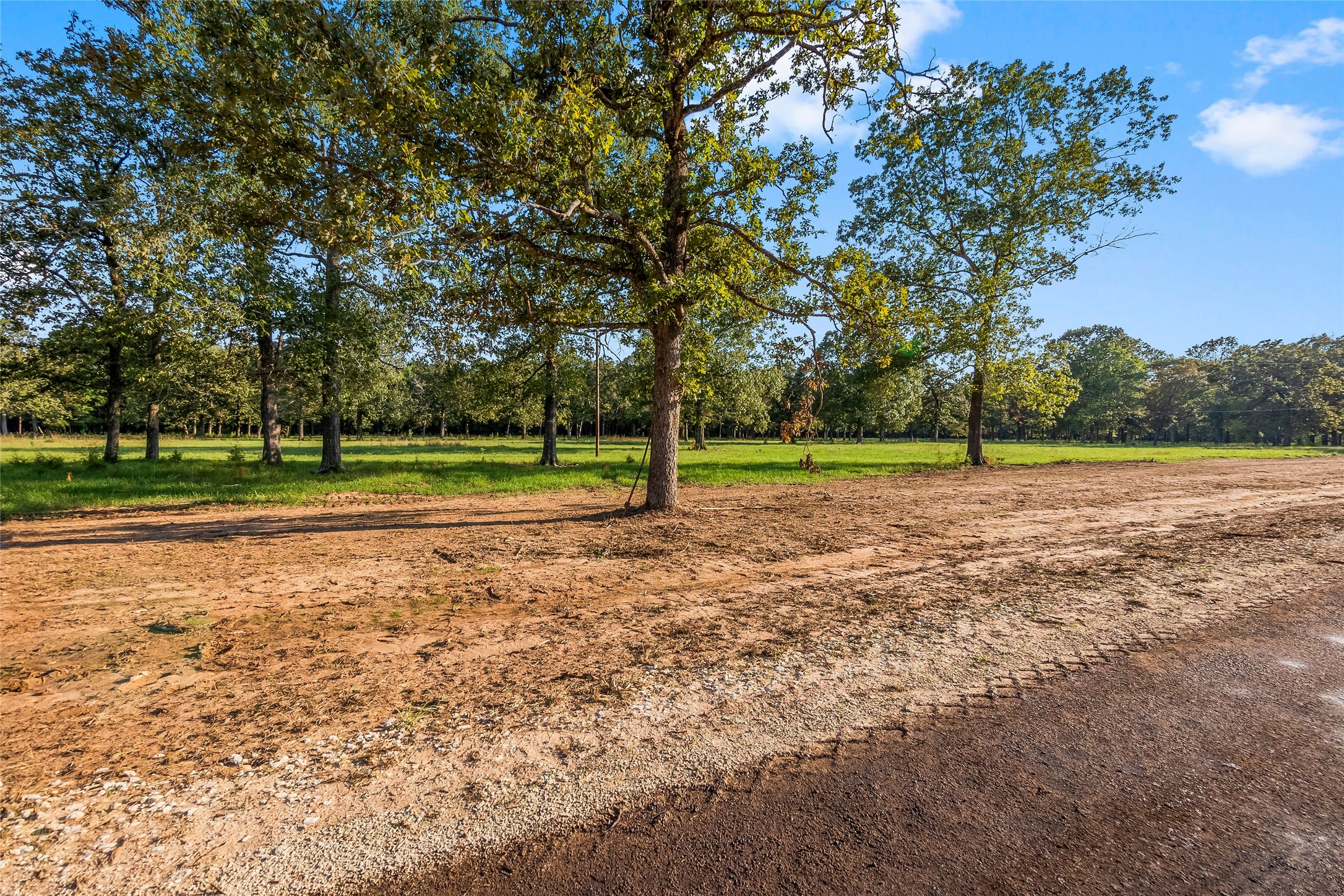 6142 Alans Memorial Lane New Waverly TX 77358
