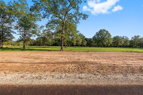 6142 Alans Memorial Lane New Waverly TX 77358