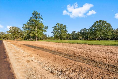 6142 Alans Memorial Lane New Waverly TX 77358