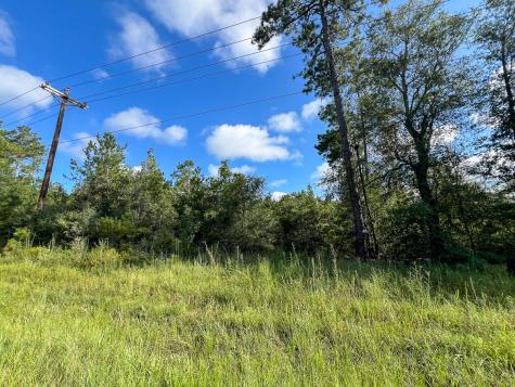 3 Fm 1013 Kirbyville TX 75956