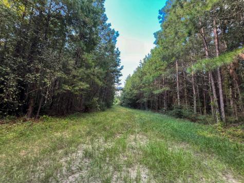 3 Fm 1013 Kirbyville TX 75956