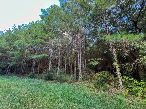 3 Fm 1013 Kirbyville TX 75956
