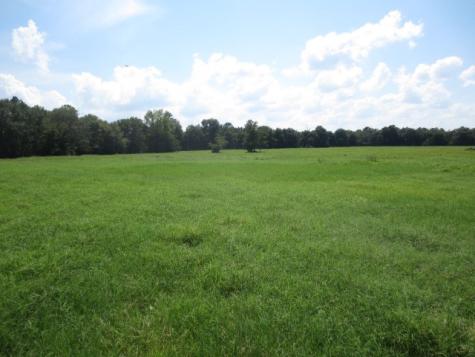 143 Piney Woods Road Trinity TX 75862