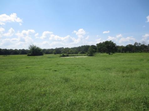 143 Piney Woods Road Trinity TX 75862