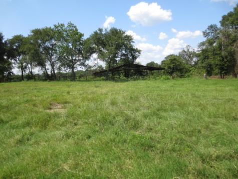 143 Piney Woods Road Trinity TX 75862