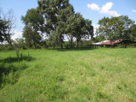 143 Piney Woods Road Trinity TX 75862